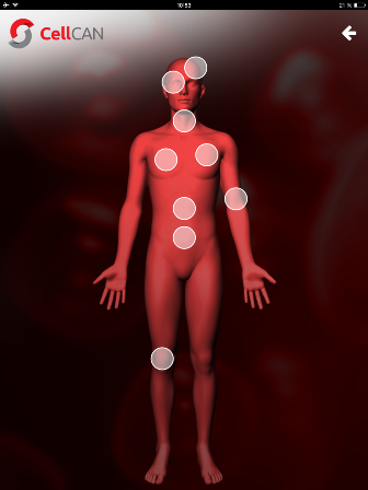 Interactive Body - Reggie App